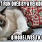 Image result for Dank Cat Meme Wallpaper