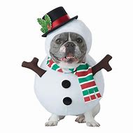 Image result for Snowman Dog