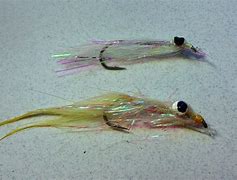 Image result for Great Lakes Steelhead Fly Patterns