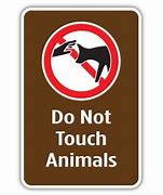 Image result for Don't Touch Animals