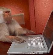 Image result for Zoolander Monkey Computer GIF