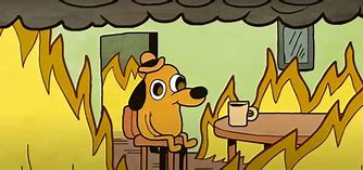 Image result for This Is Fine Meme Fox
