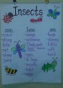 Image result for Bugs vs Insects Chart