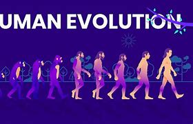 Image result for Human Evolution Animation