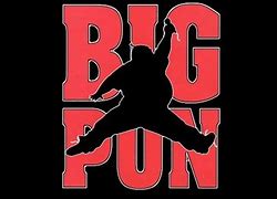 Image result for Big Pun Jordan Logo