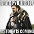 Image result for Weather the Storm Meme