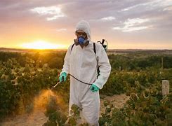 Image result for Pesticides Pic
