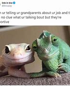 Image result for lizards meme