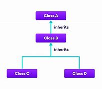 Image result for C# Inheritance Example