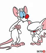 Image result for Pinky and Brain Cartoon