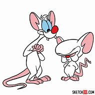 Image result for Pinky and the Brain Cartoon Characters