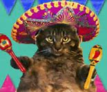 Image result for Mexican Meme Song