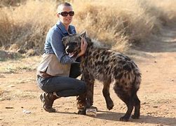 Image result for hyenas as pets in nigeria