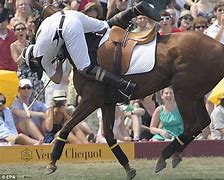 Image result for Prince Harry Polo Fall