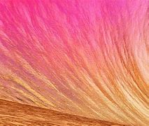 Image result for Pink Rose Gold iPhone