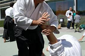 Image result for Aikido Martial Arts