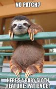 Image result for Baby Sloth MEME Funny