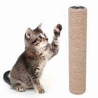 Image result for Cat Scratching Toys