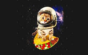 Image result for Taco Cat Spaceship