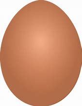 Image result for Funny Chicken Laying Eggs