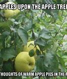 Image result for Apple Tree Meme Succes