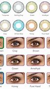 Image result for Day Contact Lenses