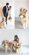 Image result for dog wedding