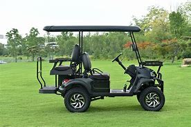 Image result for Golf Cart 48V 4WD