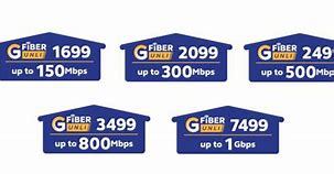 Image result for Globe Fiber