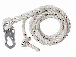 Image result for Large Snap Rope Hook
