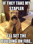 Image result for They Took My Stapler