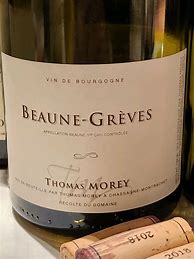 Image result for Thomas Morey Beaune Greves
