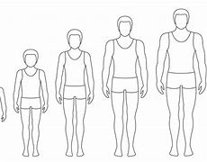 Image result for Body Growth Clip Art