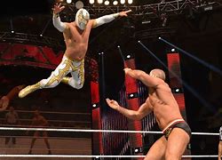 Image result for WWE Wrestlers Moves