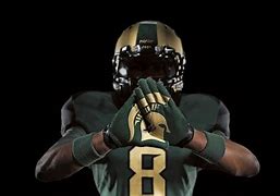 Image result for Michigan State Logo Cool