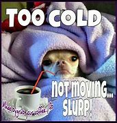 Image result for Morning Coffee Snow Meme