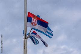 Image result for Belgrade Flag