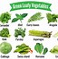 Image result for Vegetable Leaf Identification