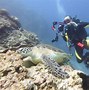 Image result for Underwater Camera for Diving