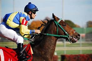 Image result for Horse Racing Desktop Backgrounds