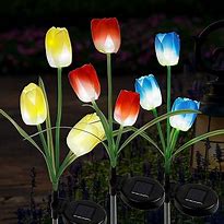 Image result for Tulip Solar Lights