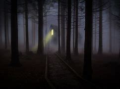 Image result for Spooky Forest Wallpaper 4K
