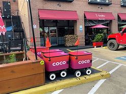 Image result for Coco Robot
