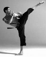 Image result for Cool Karate Poses