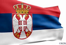Image result for Srbija GRB PNG