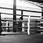Image result for Boxing Ring View