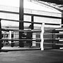 Image result for Boxing Ring Stock-Photo