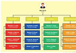 Image result for 6s Organization Chart