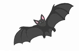 Image result for Simple Drawing of a Bat