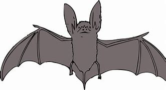 Image result for Chibi Red Bat